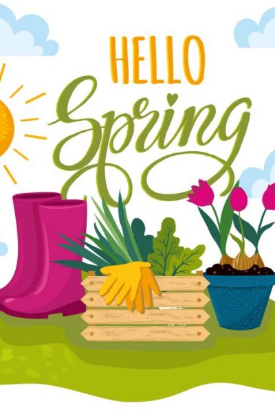 Hello Spring Hand Drawn Logotype, Badge Typography Icon. Letteri